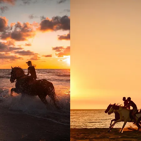 Posesja & - Posesja Plazowa 4a Ii アパート グジボボ